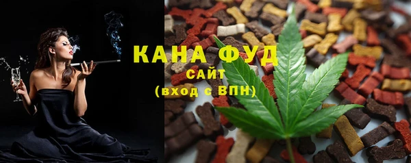 индика Беломорск