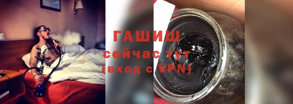 индика Беломорск