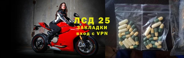 индика Беломорск