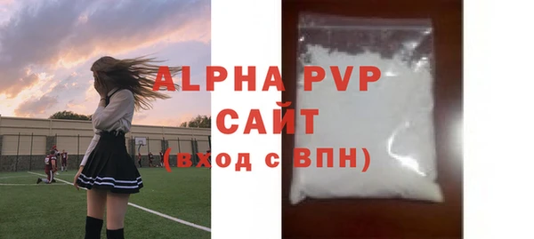 индика Беломорск