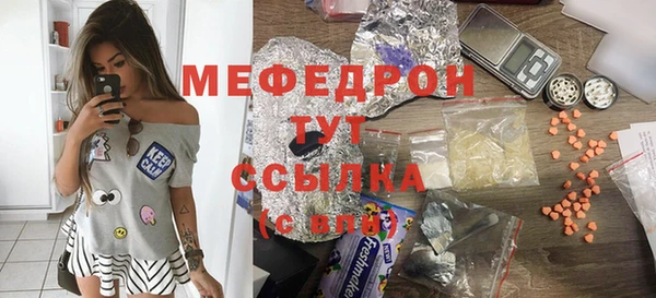 индика Беломорск
