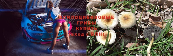 ешки Балахна